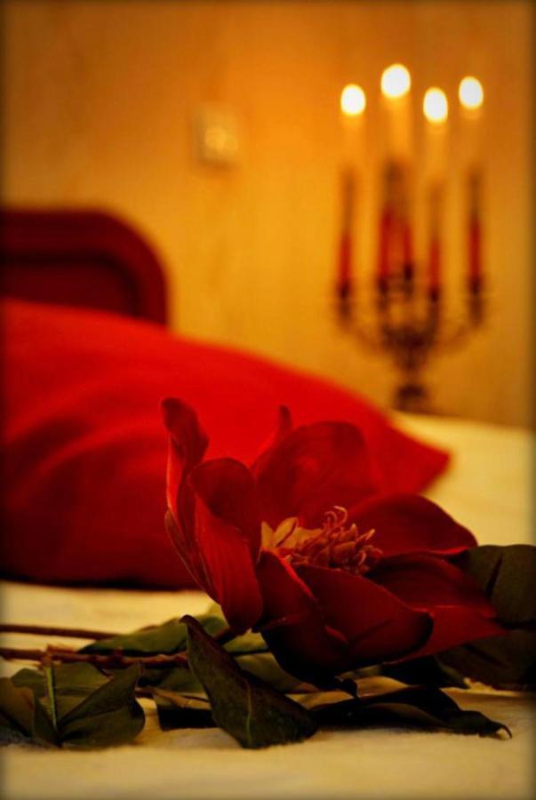 Zaodrze Hotel 3*